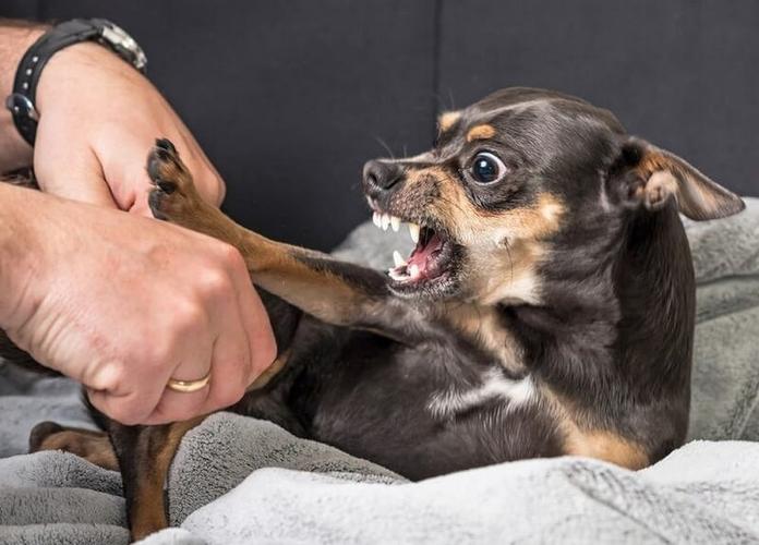Công an huyện Hoa Lư tổ chức hội nghị tuyên truyền, hướng dẫn các điều kiện đảm bảo an toàn phòng cháy, chữa cháy đối với hoạt động kinh doanh dịch vụ Karaoke trên địa bàn