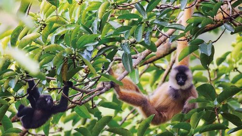 Công an Kim Sơn bắt vụ mua bán trái phép gần 40 kg pháo